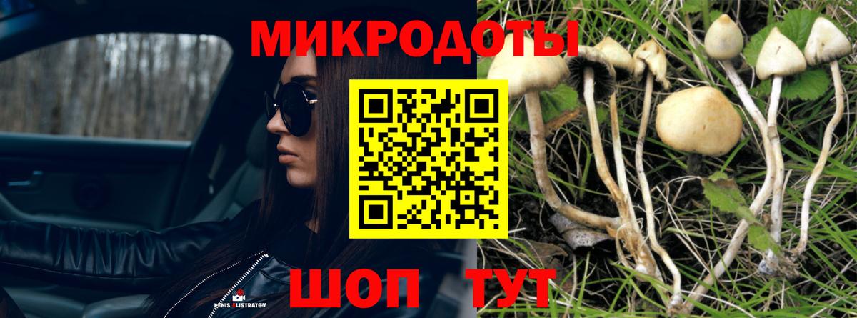 Псилоцибиновые грибы Cubensis Салават