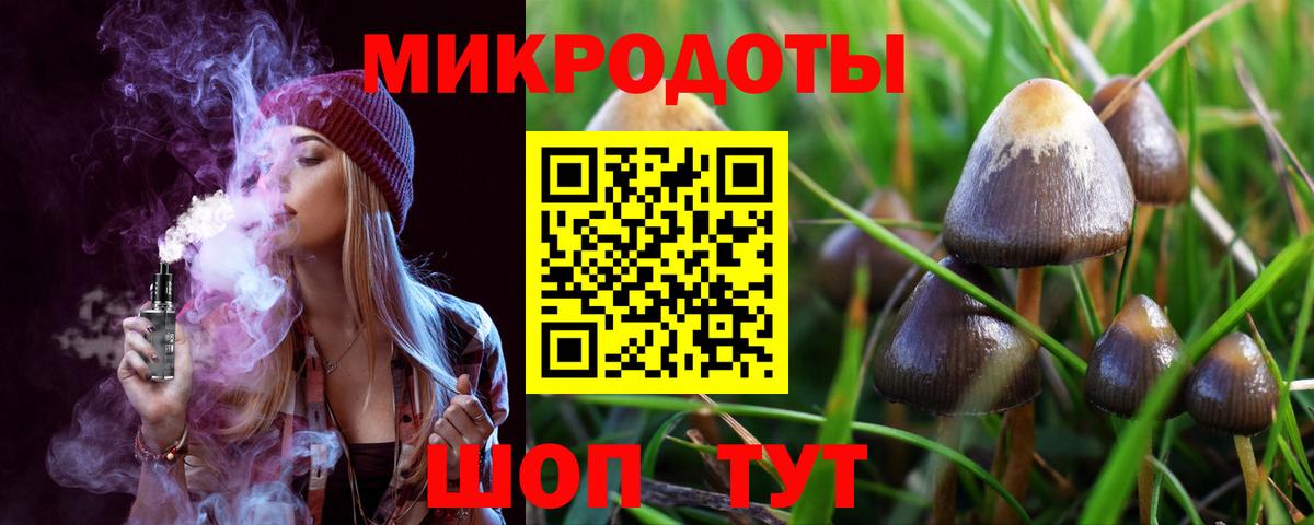 Псилоцибиновые грибы прущие грибы  Вход с VPN  Салават  Псилоцибиновые грибы Psilocybe 